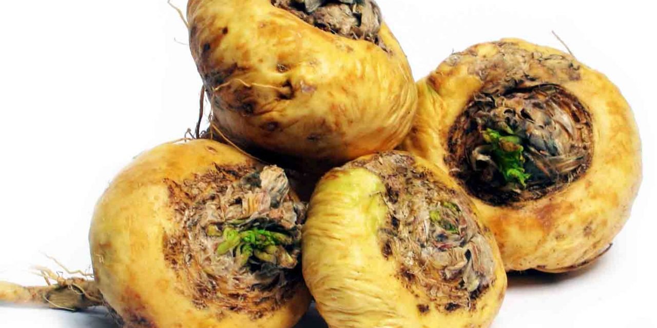 Maca om de hormoonbalans te verbeteren