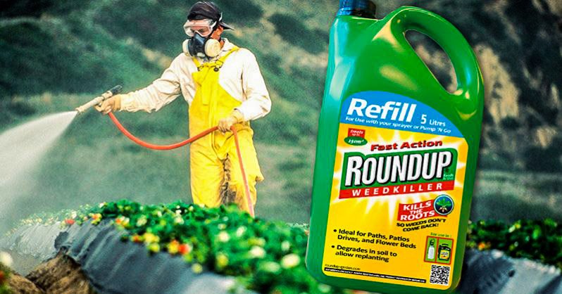 Kon GMO i Monsanto ta kaba ku bo bida