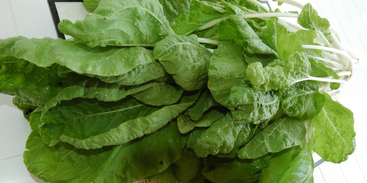 Sòpi di bèrdura pa hisa energia