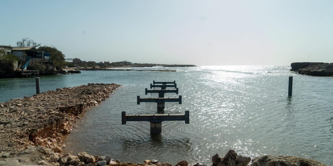 Otro logro pa nos dushi pueblo den kuadro di Wellness