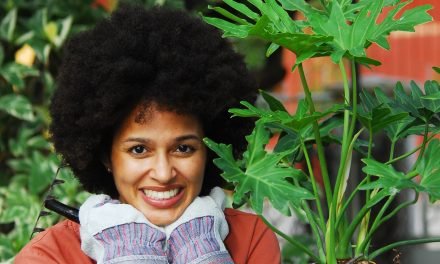 Vind je Ikigai en leef intens