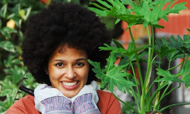 Vind je Ikigai en leef intens