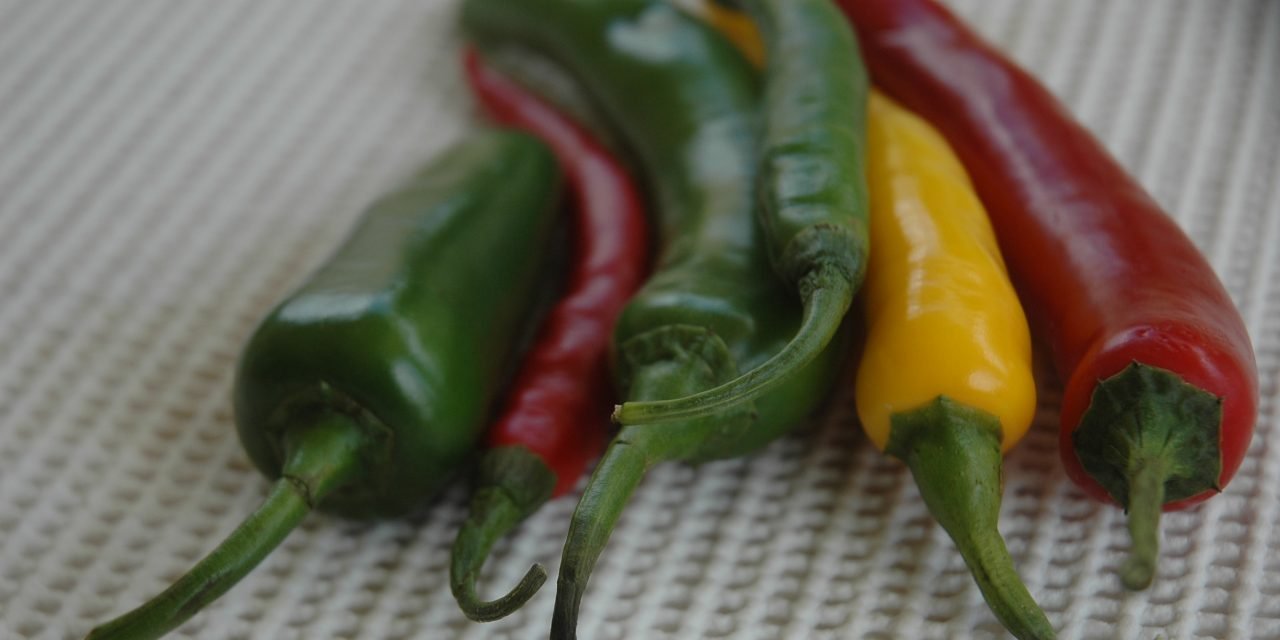 Heet, heter, heetste op de Scovilleschaal