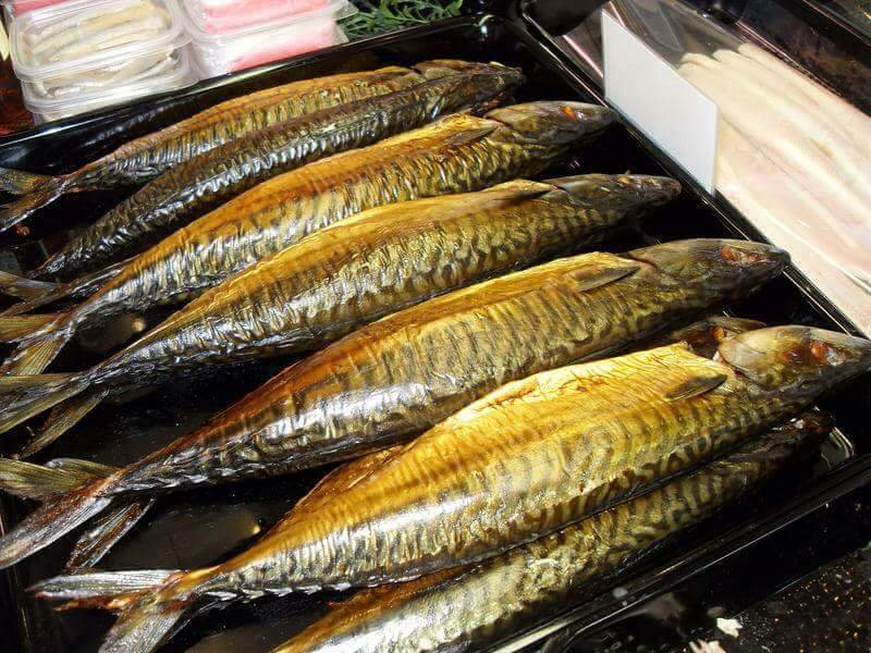 Makreel rijk aan Omega 3