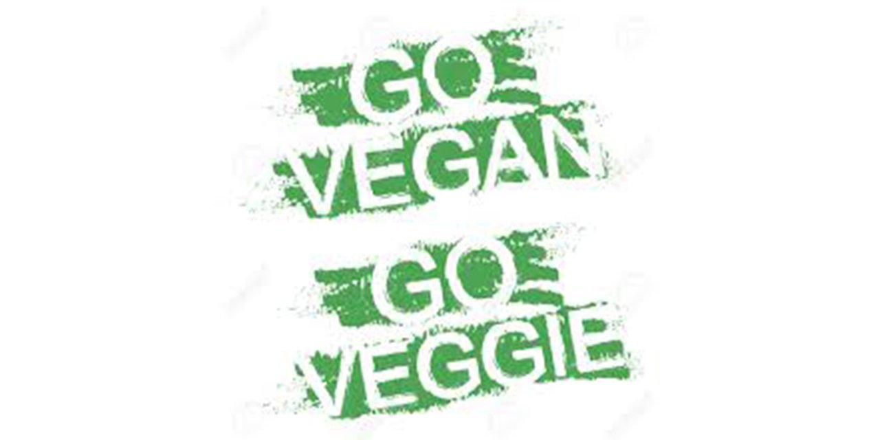 Lactose-, gluten- en sojavrije kaas