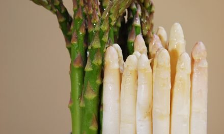 Stinkende urine na het eten van asperges