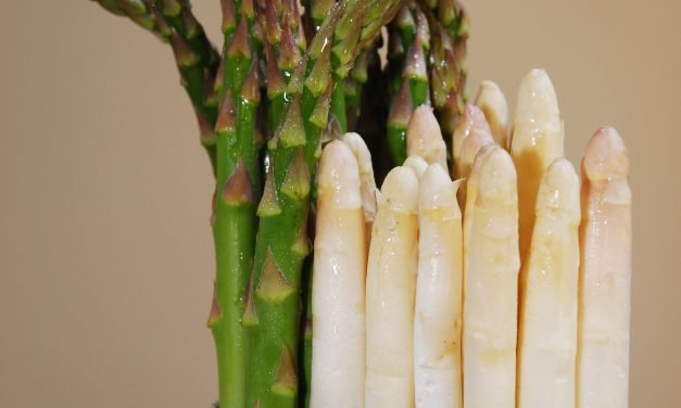 Stinkende urine na het eten van asperges