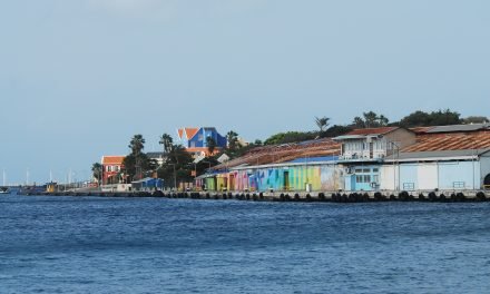 Je doet toch ook mee met Wellness?