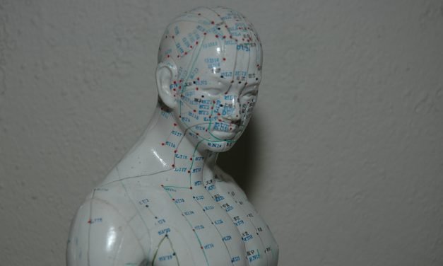 Hoe je van oorzaak, gevolg en gezwam een dikke vette hutspot maakt