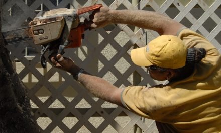 Goed werkgeverschap en goed werknemerschap