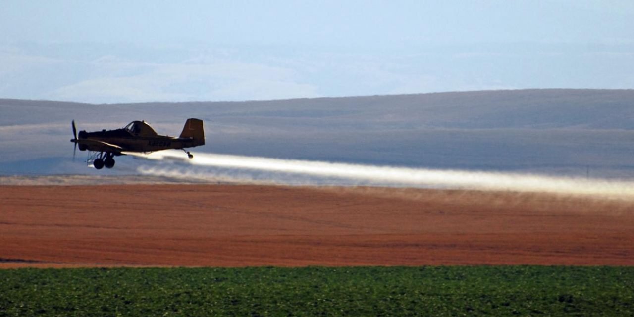 Geslachtsverandering komt steeds vaker voor