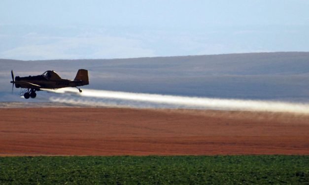 Geslachtsverandering komt steeds vaker voor